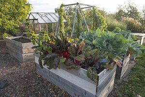 Gemüsegarten mit Hochbeeten