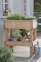 Build rollable raised bed on balcony yourself and plant with herbs