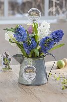 Kleiner Strauss aus Hyacinthus (Hyazinthen) in Zink-Kanne als Vase