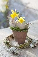 Small Easter decoration terracotta pot with moss, Narcissus flowers