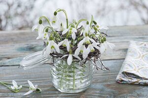 Straeusschen mit Galanthus nivalis (Schneeglöckchen) in Einmachglas