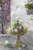 Anemone nemorosa, in wreath from Salix