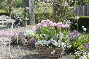 Beet durch die Jahreszeiten im Frühling