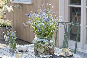 Myosotis with pebbles and snail shells