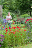 Early summer garden with poppy