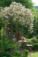 Small seat under rose arch