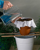 Water with peat softening