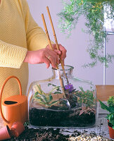 Step 7: Planting the bottle garden