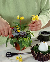 Easter decoration: Sagin nest glued with wooden branches 4th step