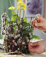 Primroses nicely packed in a clay pot