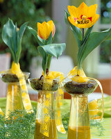 Tulipa greigii auf Wasserglas setzen als Deko (4Step's)