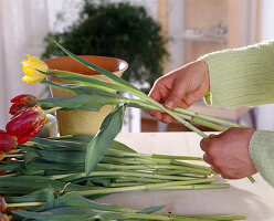 Tie a tulip bouquet