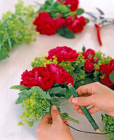 Wreath making with roses 'Flammentanz' and Alchemilla (lady's mantle) (1/2)