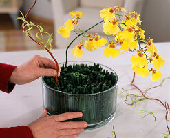 Orchid flowers in glass with field horsetail as plug-in aid