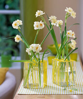 Daffodils in square glass (2/2)