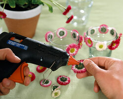 Glasses with Bellis decoration (2/3)