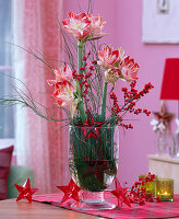 Amaryllisgesteck: Hippeastrum / Amaryllis, Ilex / rote Winterbeere, Cytisus / Gi