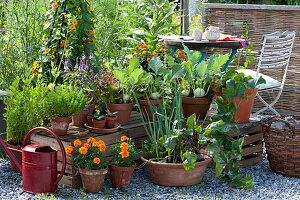 Snack terrace with vegetables and summer flowers