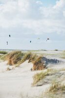 Kite-Surfer, St. Peter Ording, Nordsee, Schleswig-Holstein