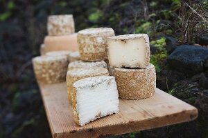 Cheese from the Vulkanhof cheese dairy in Gillenfeld, Rhineland-Palatinate, in the Eifel region of Germany