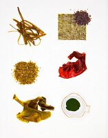 Various types of algae: sea spaghetti, nori, sea salad, dulse, wakame, chlorella