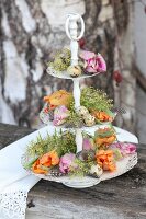 Parrot tulips, touch-me-not, quail eggs and feathers on vintage cake stand