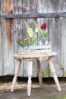 Snapdragons and sweet Williams in glass bottles in wire basket