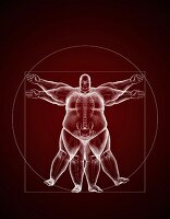 Overweight Vitruvian Man