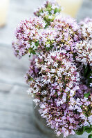 Wild marjoram flowers