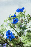 Bouquet of Queen Anne's lace and cornflowers