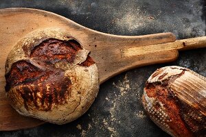 Brot auf Brotschieber (Aufsicht)