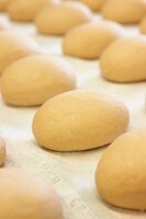 Dough pieces for bread rolls