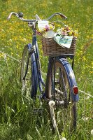 Sträusse aus Hahnen­fuss, Kuckucksblume und Wiesenkerbel im Fahrradkorb