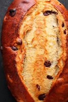 Sweet yeast bread with cranberries and chocolate chips (close-up)
