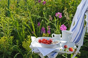 Tablett mit Müsli, Erdbeeren und Kaffeetasse auf Gartenstuhl
