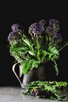 Fresh purple broccoli in a mug