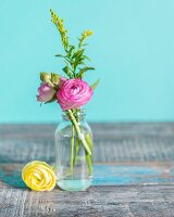 Tiny glass vase of ranunculus on rustic wooden surface against turquoise background
