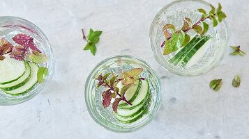 Infused Water mit Gurke und Kräutern