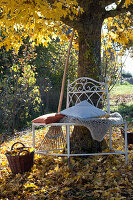 Tree bench under maple tree