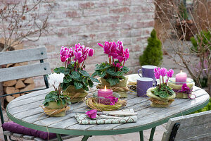 Herbstliche Tischdeko mit Cyclamen mit Filzverkleidung und Graskraenzen