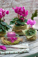 Autumn table decoration with cyclamen with felt cover and grass wreaths