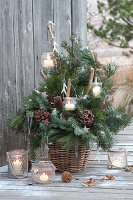 Bouquet of pinus (pine) and abies (fir) branches in the basket