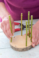 Homemade pots from Cornus branches