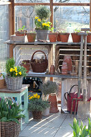 Early spring in the greenhouse