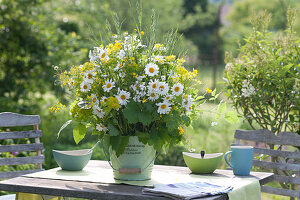 Weiß-gelber Strauß aus Leucanthemum vulgare ( Margeriten ), Erysimum