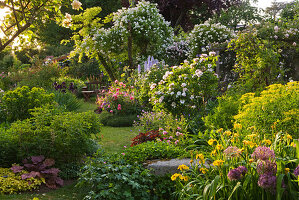 Rosengarten mit Rose 'Natalie' und 'Belle Helene'