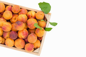 Apricots in a crate