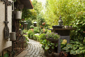 Blick vom Hauseingang in den Garten