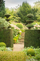 Opening in clipped hedge leading to steps between flowerbeds and hydrangeas