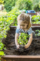 A little girl gardening